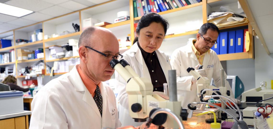 Dr. Martin M. Matzuk (left), director of the Center for Drug Discovery and vice chair of pathology & immunology