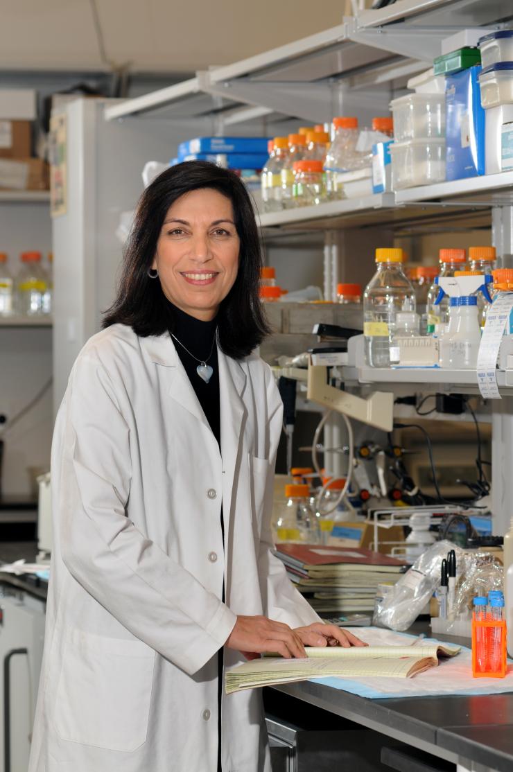 Dr. Huda Zoghbi