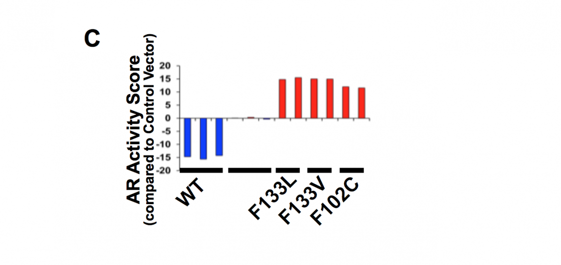 nmlabfig2c