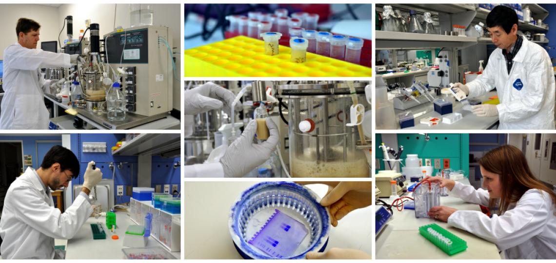 Feigin Center laboratories