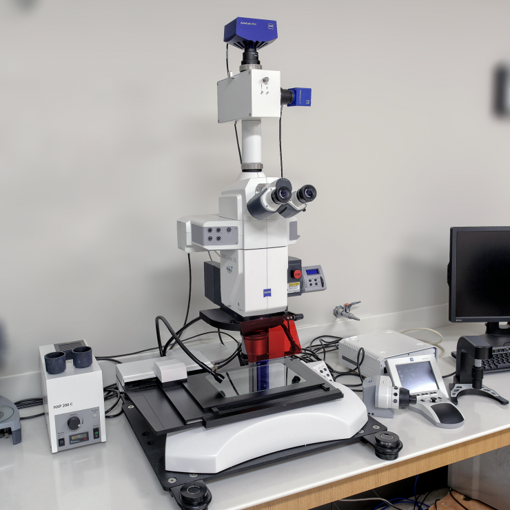 Zeiss AxioZoom v16